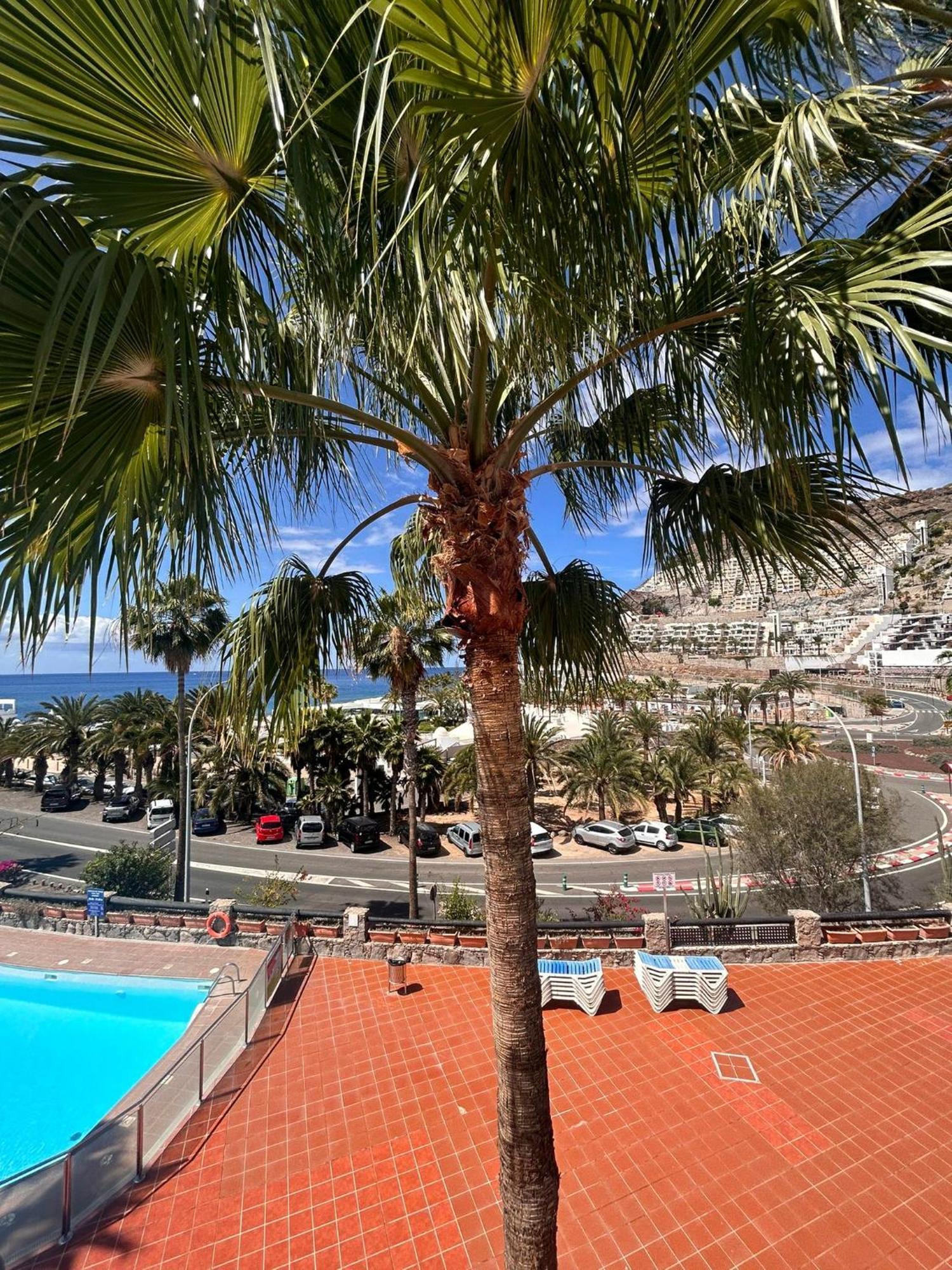 Bluejay Apartamento Playa Del Cura Экстерьер фото